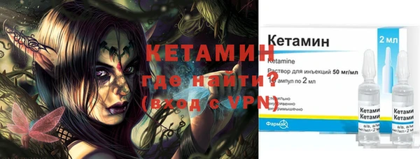 ешки Дубна