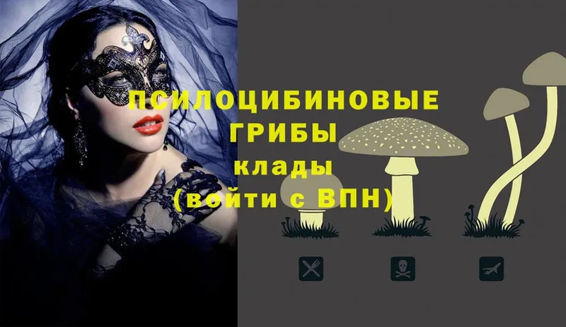 Галлюциногенные грибы Magic Shrooms  Красноармейск 