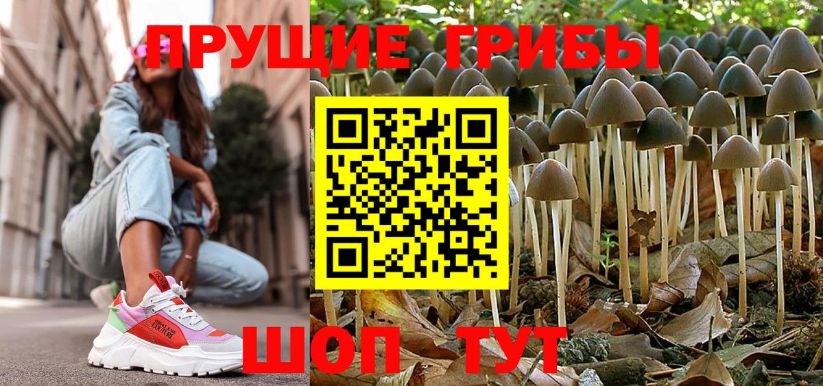 МЕФ  Плюхи  A PVP  Красноармейск  Вход с VPN  Конопля  COCAIN 