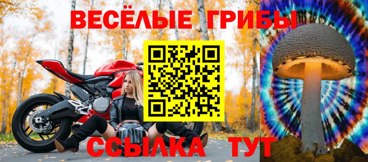 Псилоцибиновые грибы Psilocybine cubensis Красноармейск