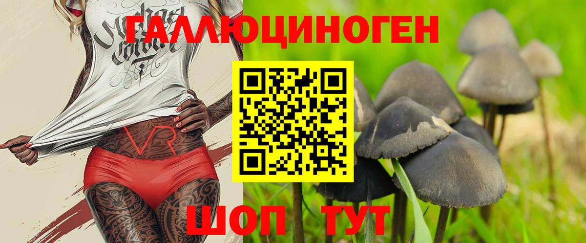 наркотики  Красноармейск  Псилоцибиновые грибы GOLDEN TEACHER 