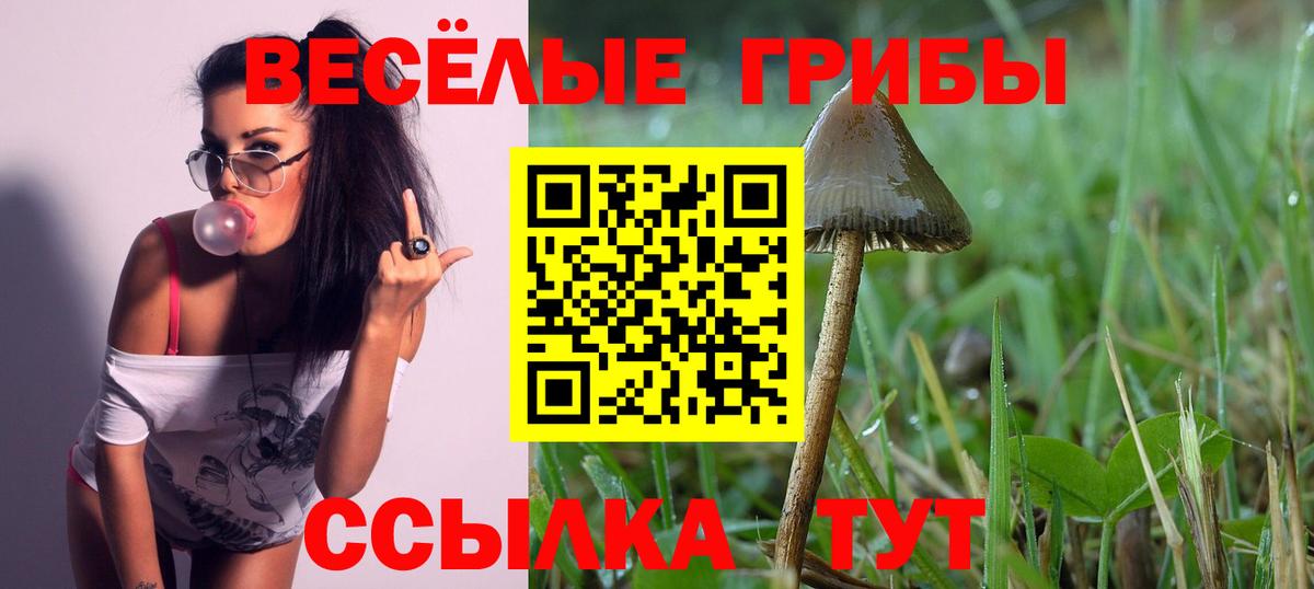 Галлюциногенные грибы мицелий  Галлюциногенные грибы Psilocybe  Вход с VPN  Красноармейск 